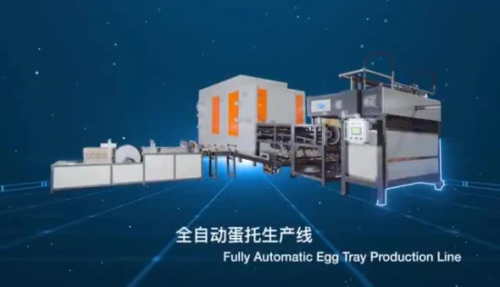 Automático con función de secado, precio de bandeja de huevos, máquina de caja de pulpa de moldeo, alta calidad