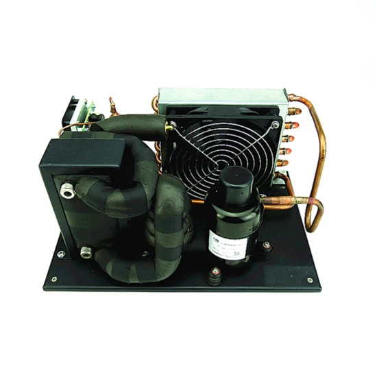 Precio de fábrica Mini equipo de refrigeración 12V 24V 48V Unidad de módulo de enfriador de líquido recirculante Fsch019z12b